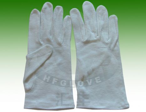 Cotton Glove (5017)